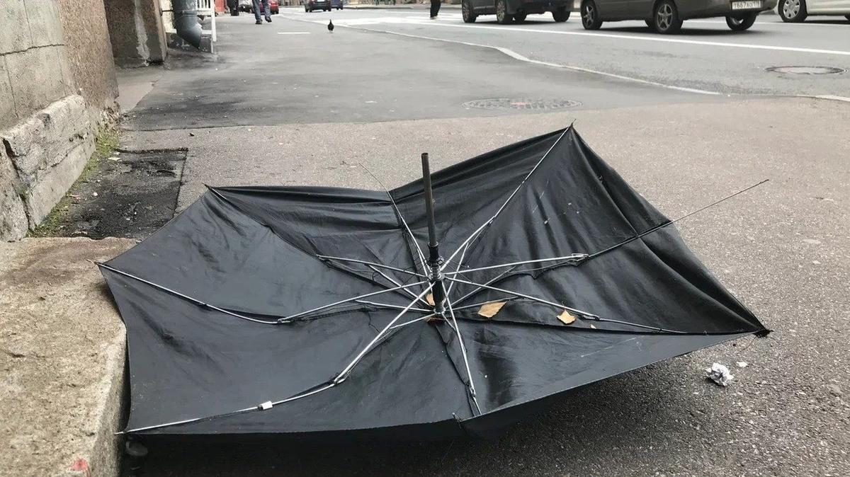 Фото: Олег Золото / МР7