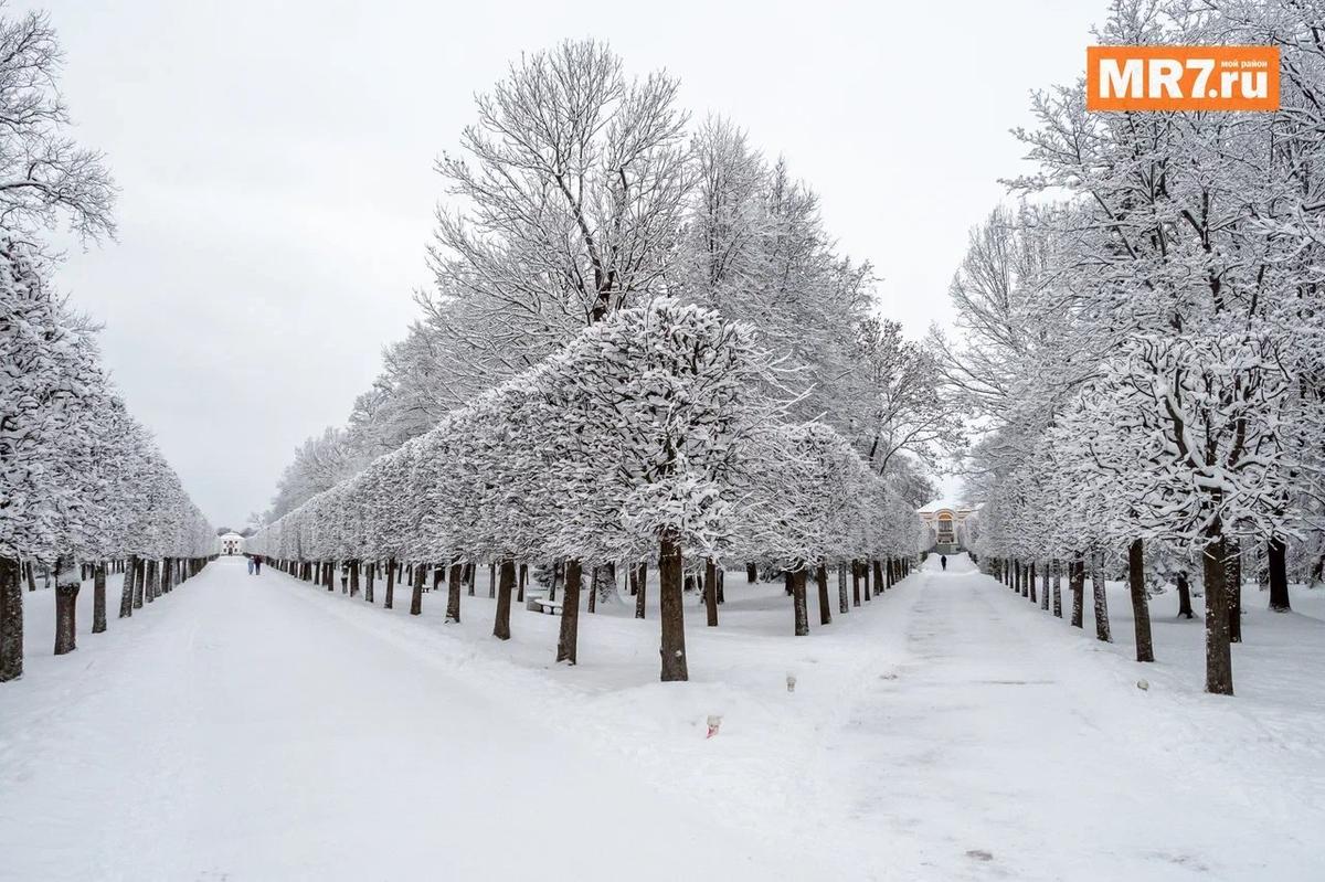 Фото: Олег Золото / MR7