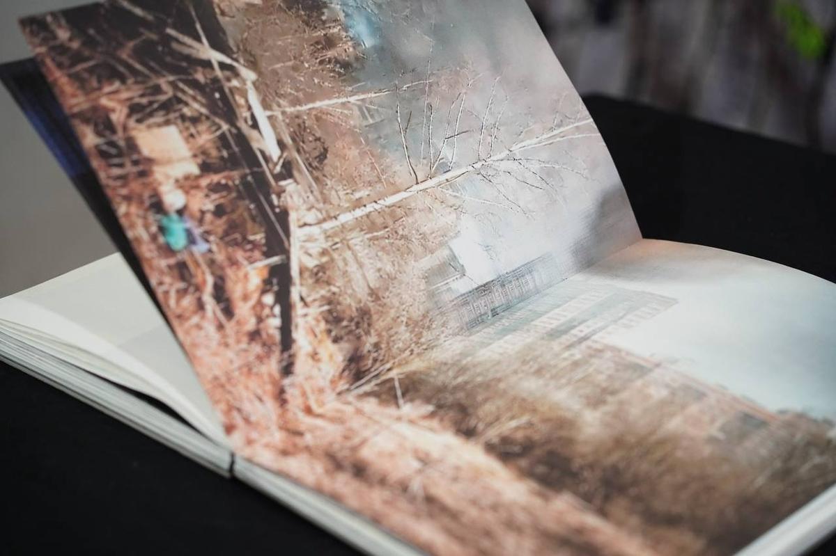 Альбом с изображениями Невского района, фрагмент экспоната «С яблонь ещё падают яблоки» Кристины Сергеевой. Фото: Павел Борисенко / MR7