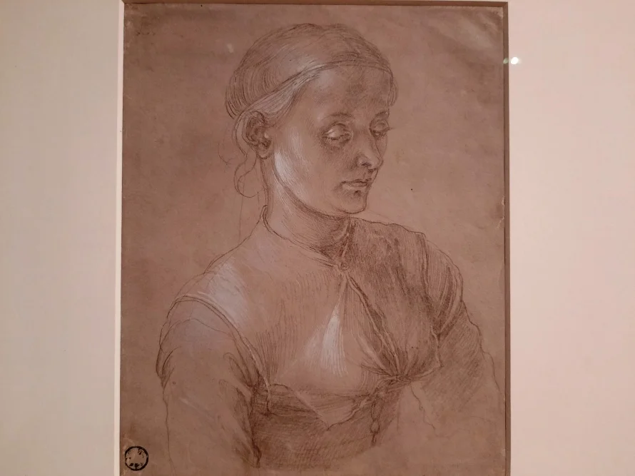 Дюрер портрет жены Агнес Фрей 1497 год  грунтованная бумага серебряный карандаш белила Государственный Эрмитаж.jpg