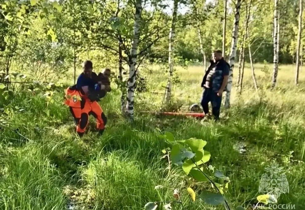Фото: МЧС Ленинградской области