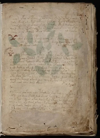 435px-Voynich_Manuscript_(3)