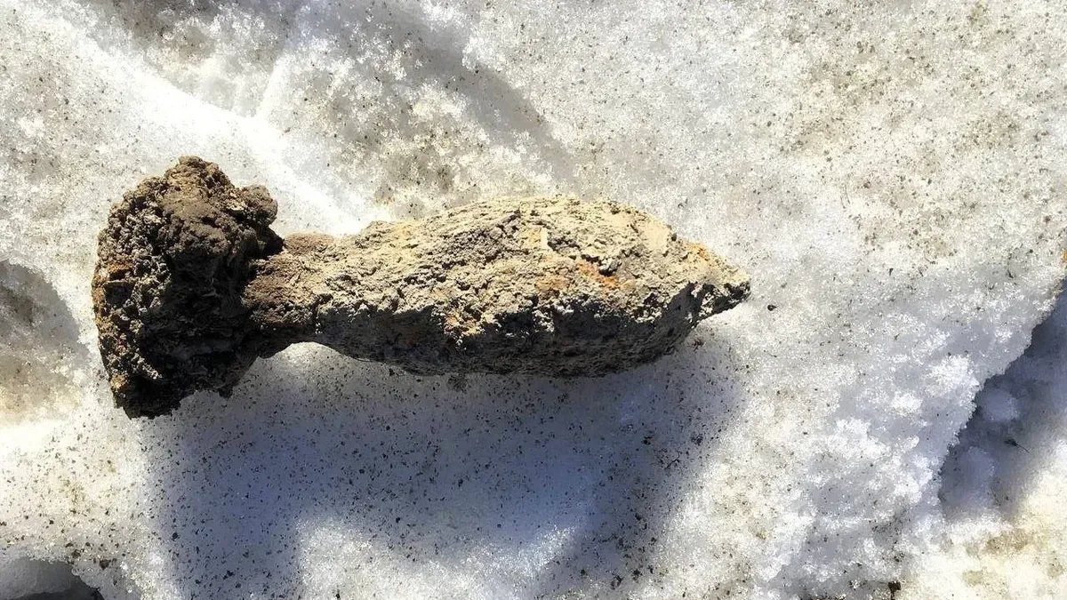 Аналогичный боеприпас, найденный в Пушкинском районе в марте. Фото: пресс-служба Росгвардии по Петербургу и Ленобласти