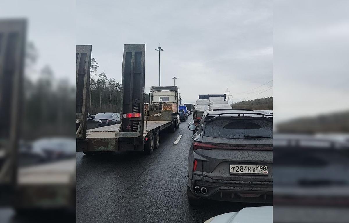 Фото: «Мегаполис»