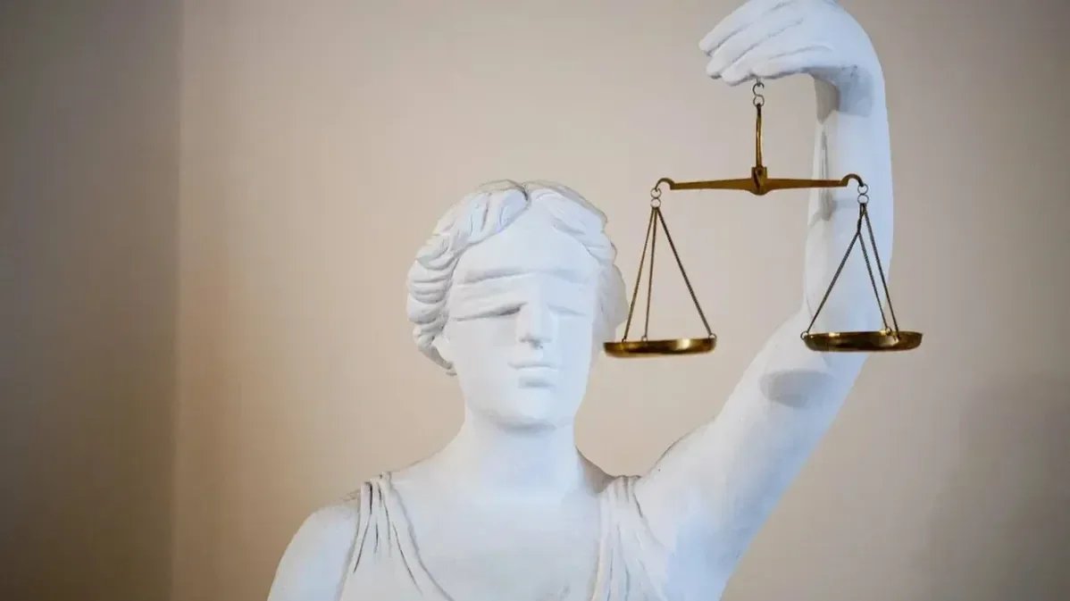 Эконадзор будет судиться с захватчиками леса и берега Нахимовского озера в Выборгском районе