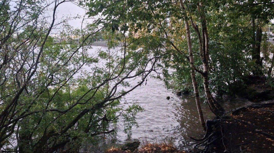 Фото: КГИОП