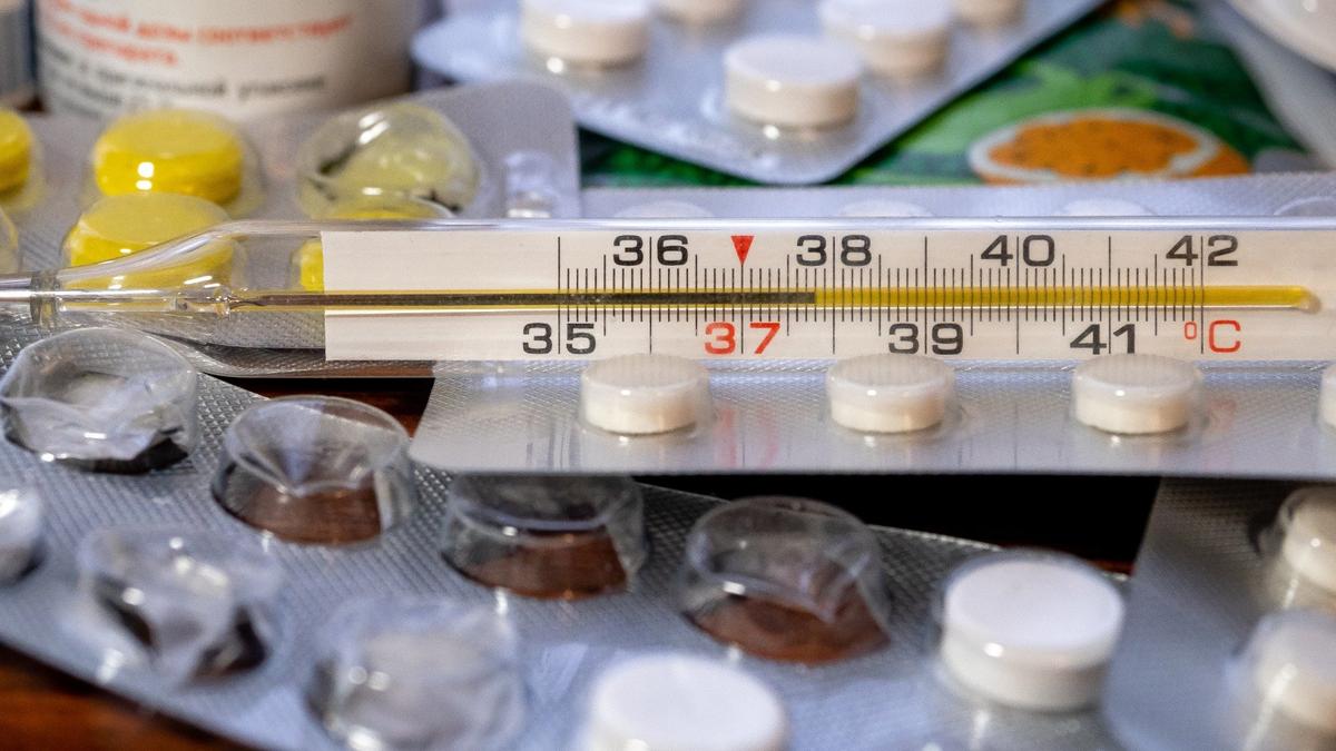 Фото: Олег Золото / MR7