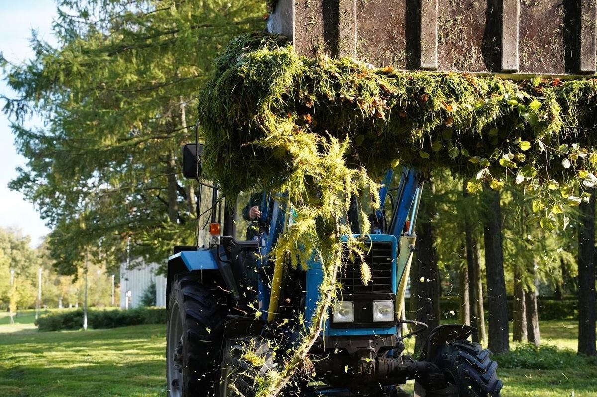 Фото: Павел Борисенко / MR7