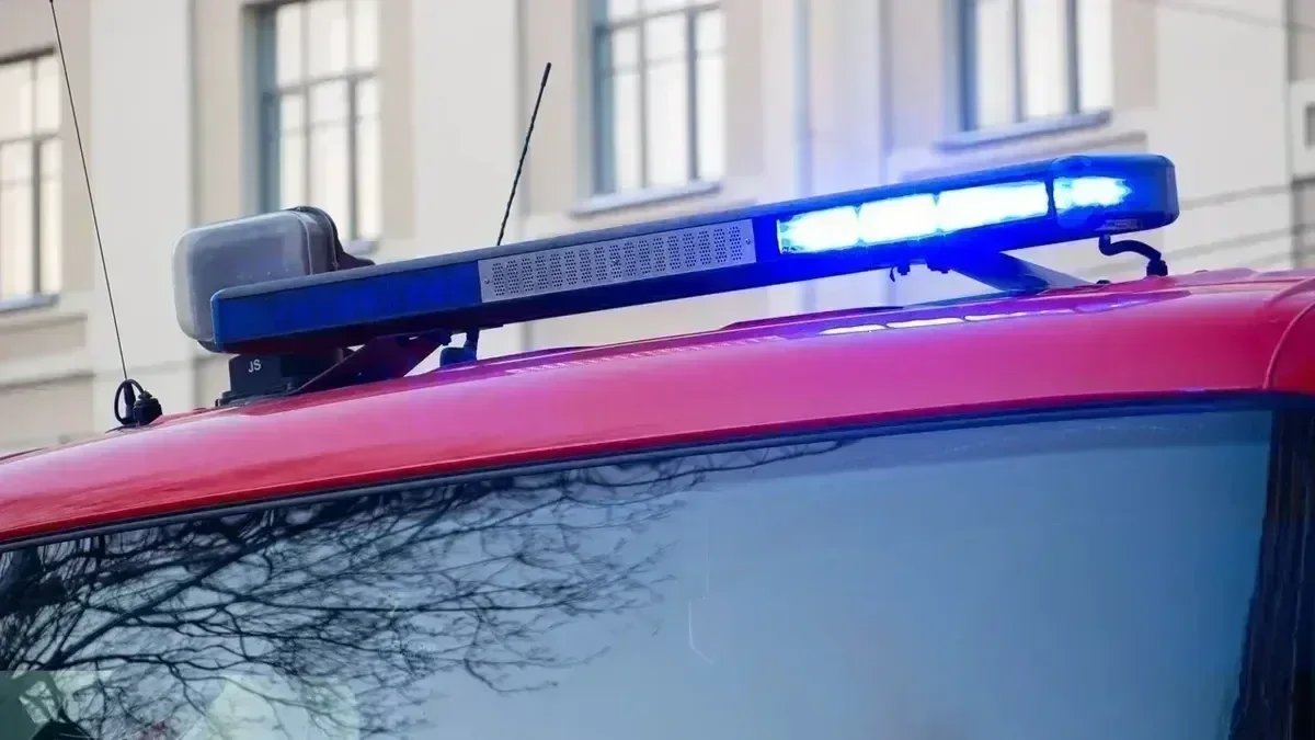 Фото: Дмитрий Абрамов / MR7