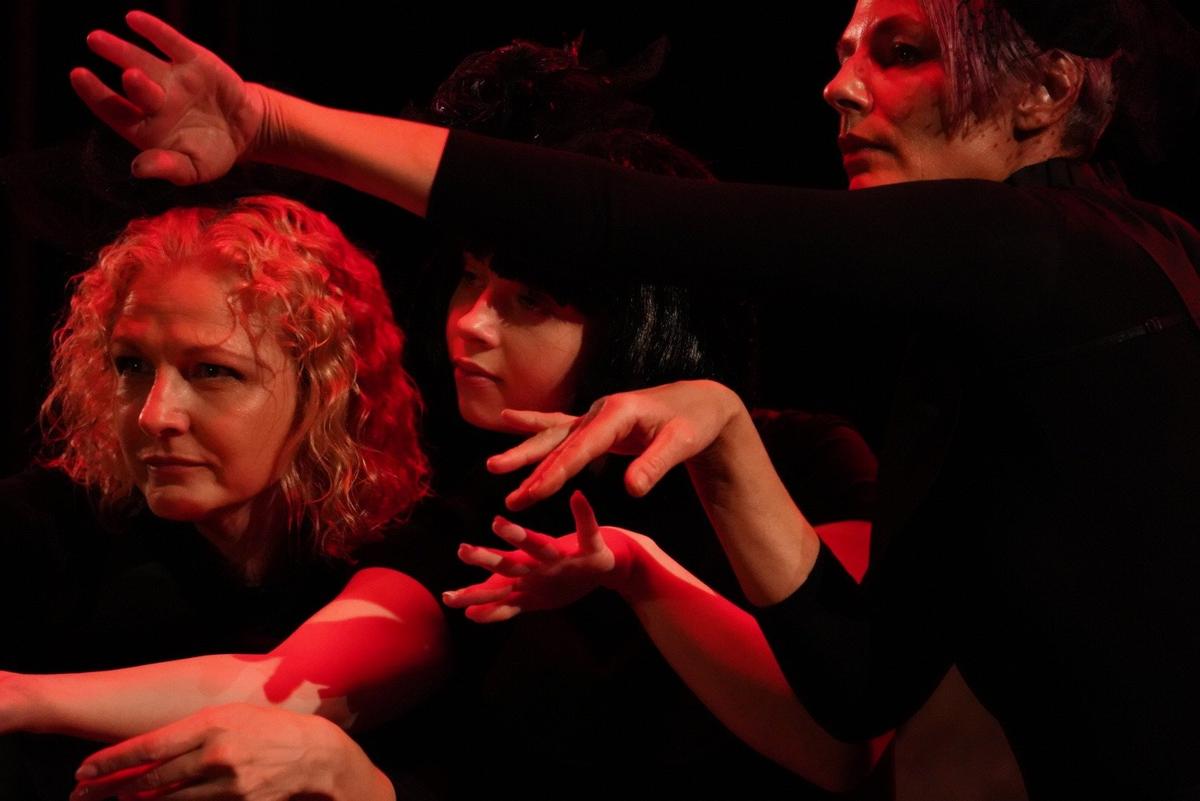 Фото: Павел Борисенко / MR7