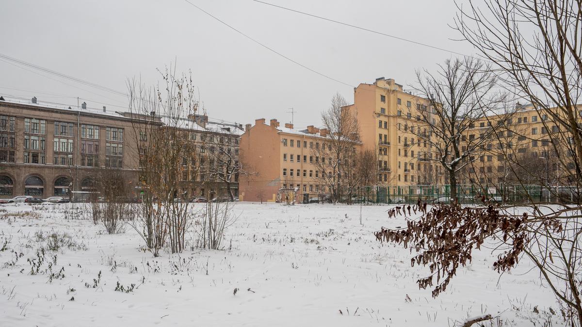 Жители Петроградской стороны помолились о зелёном общественном пространстве