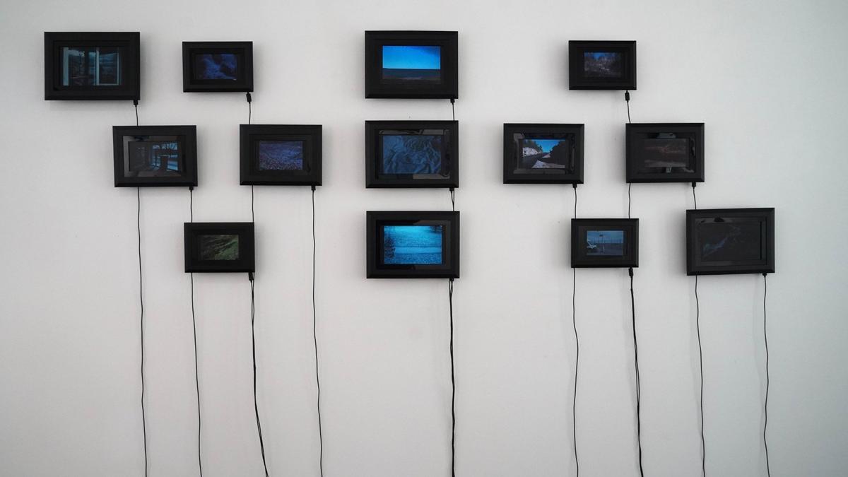 Фото: Павел Борисенко / MR7