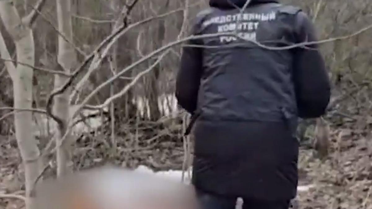 Скриншот видео: Следственный комитет