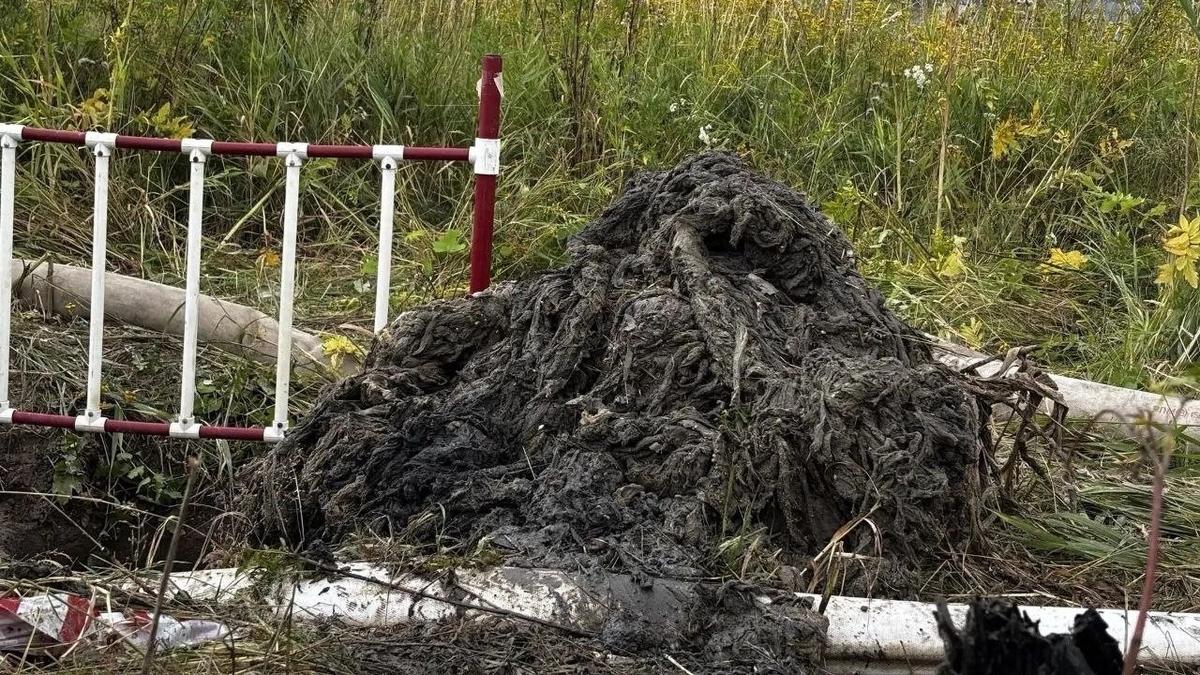Фото: Водоканал Петербурга