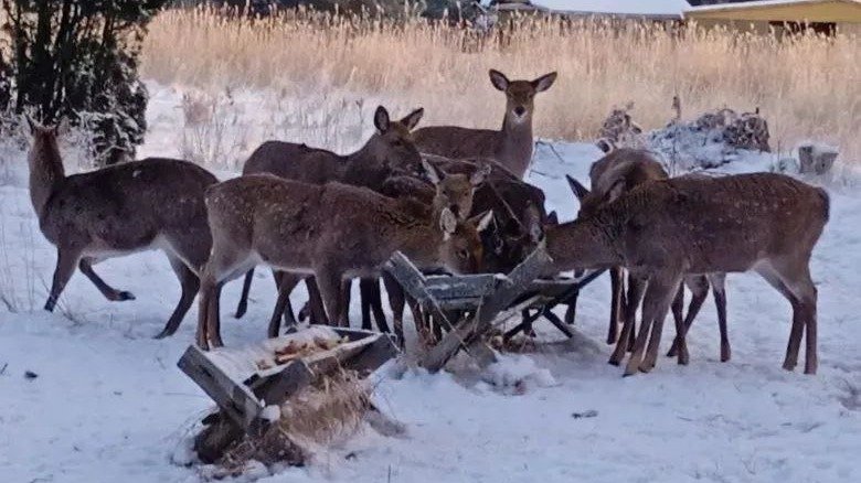 Фото: администрация Ленобласти