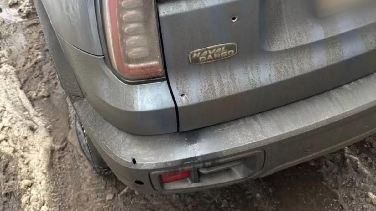 Фото: ГУ МВД по Петербургу и Ленобласти