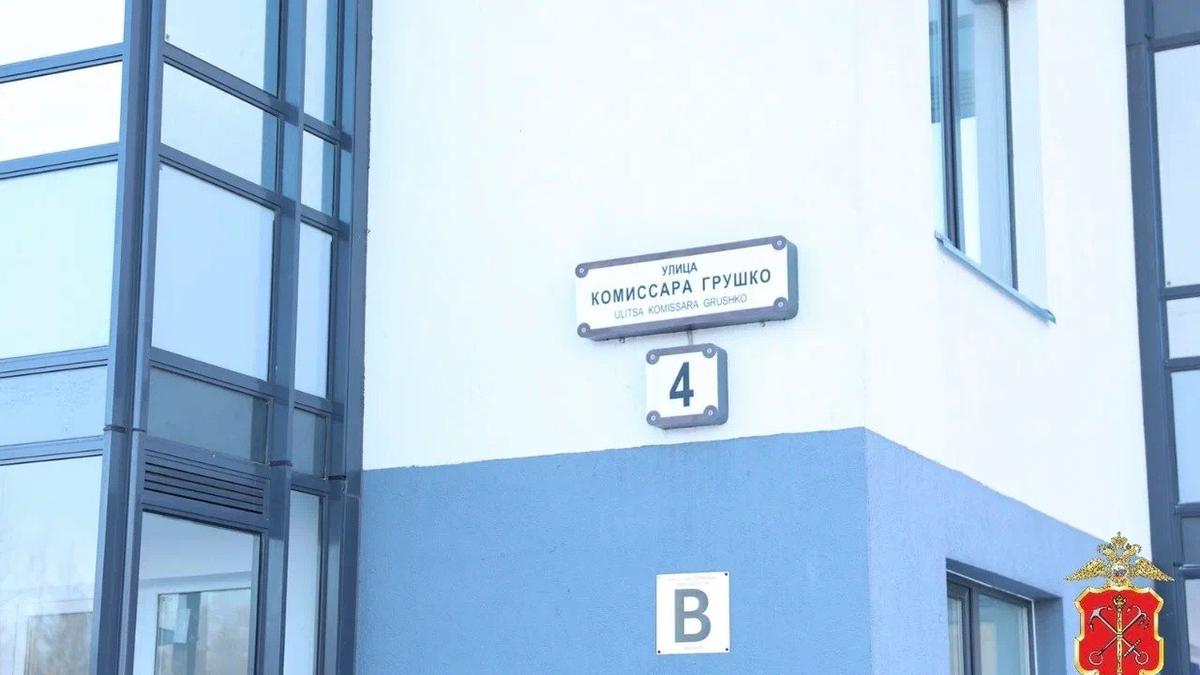 Фото: ГУ МВД по Петербургу и Ленобласти