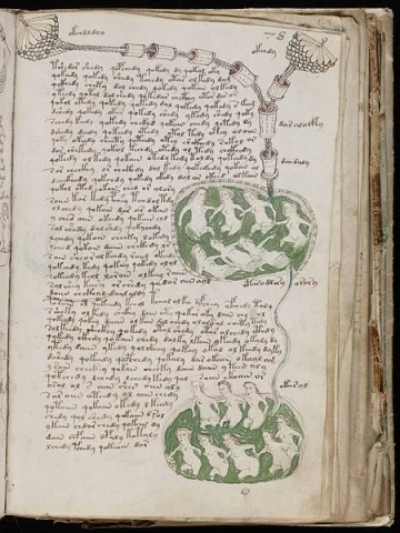 Voynich_Manuscript_(141)