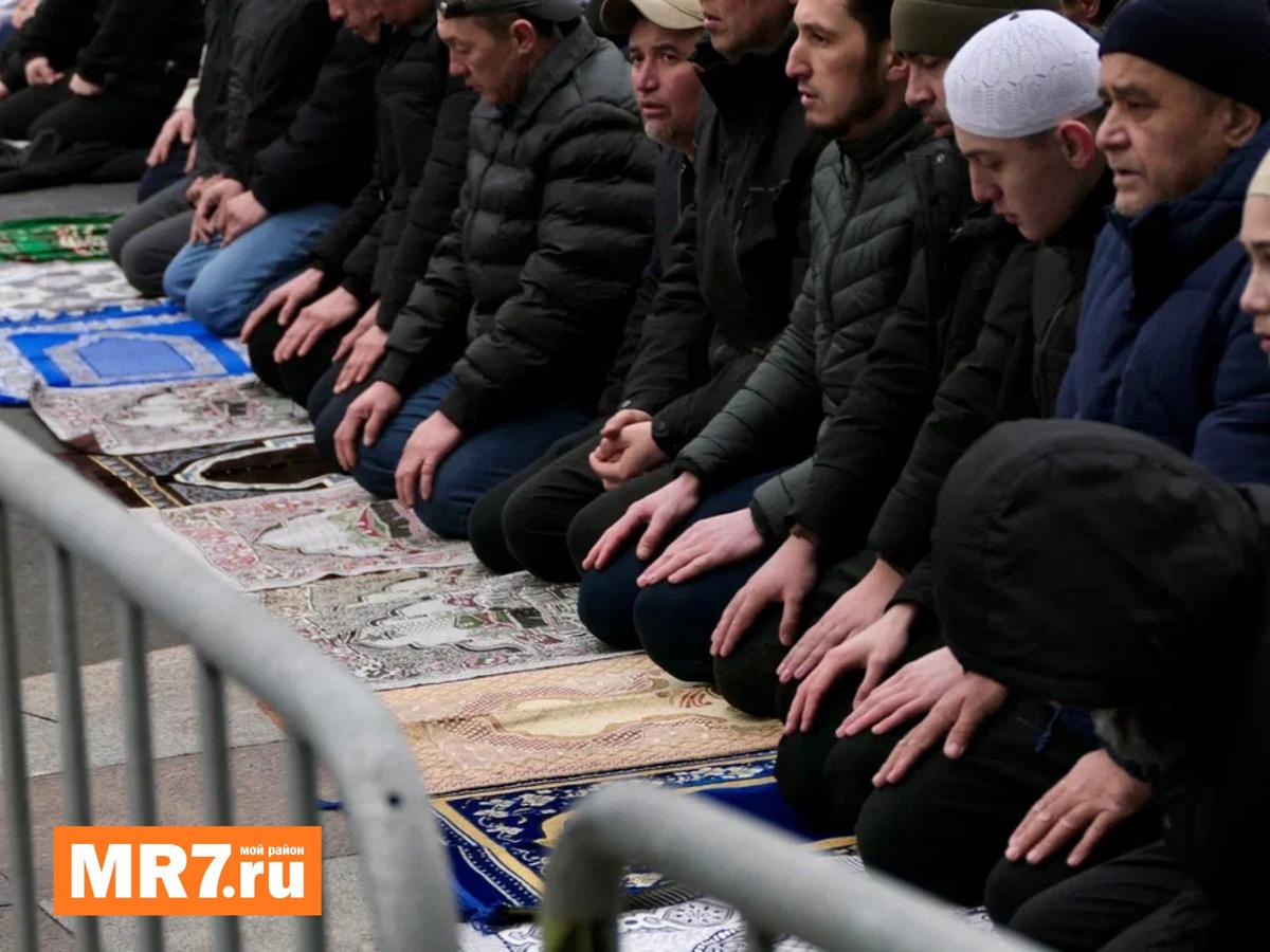 Фото: Павел Даиси / MR7