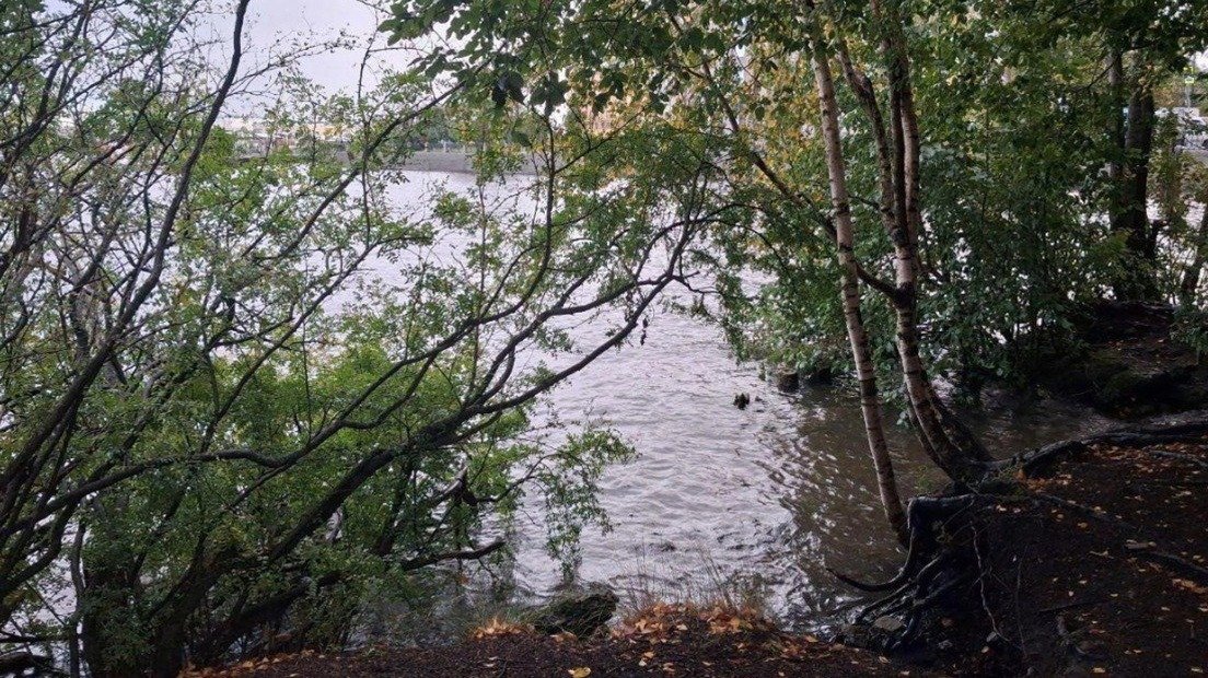 Фото: КГИОП