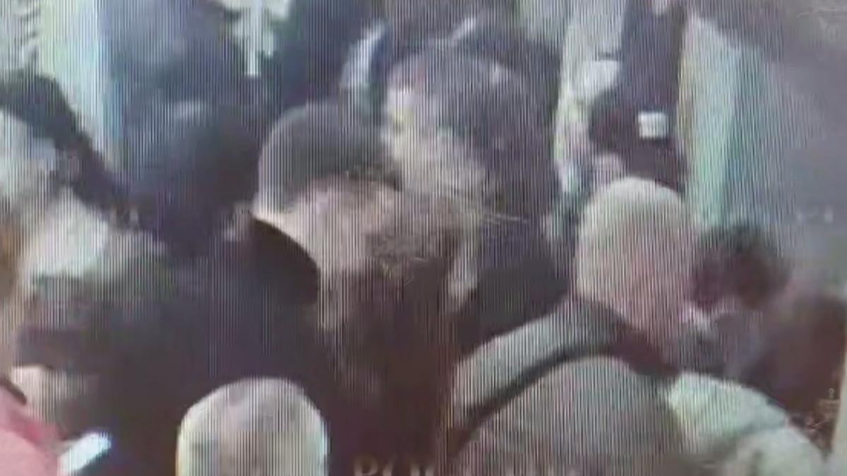 Скриншот видео: МВД России