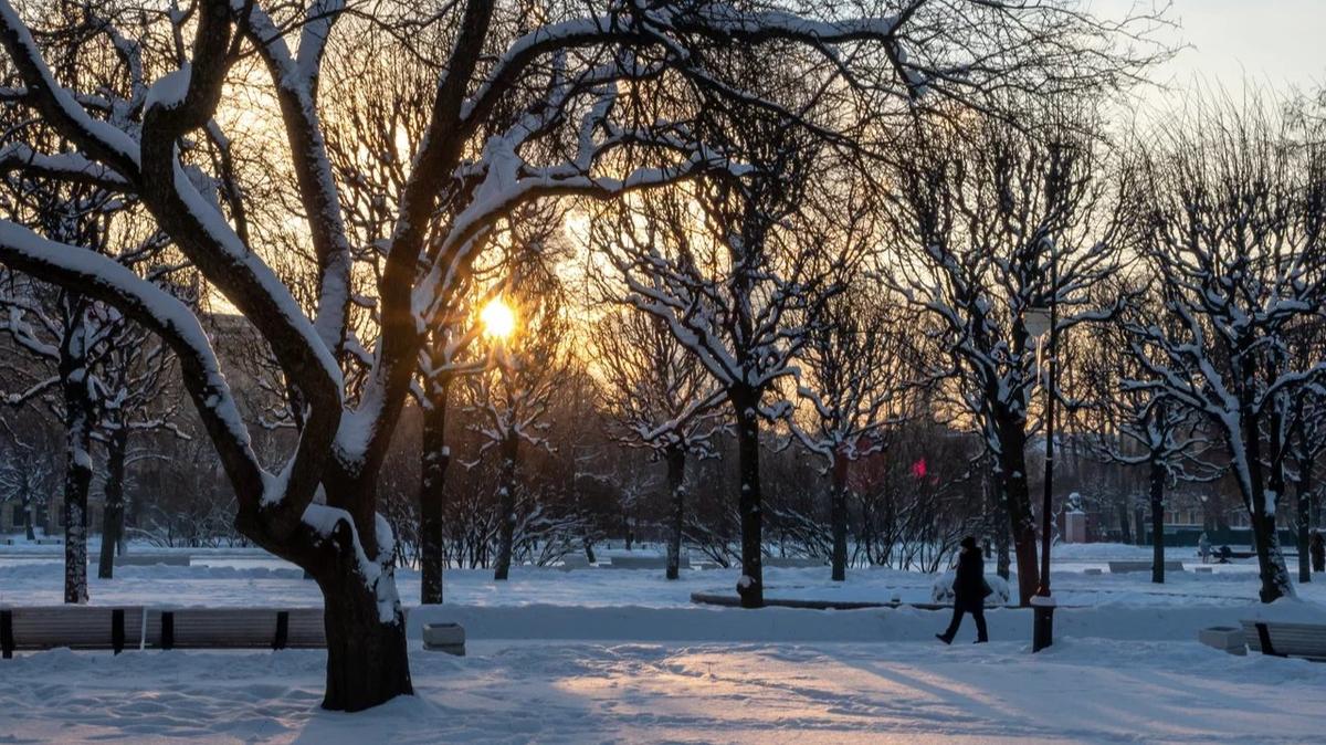 Четыре безымянных проезда в Московском районе получат названия