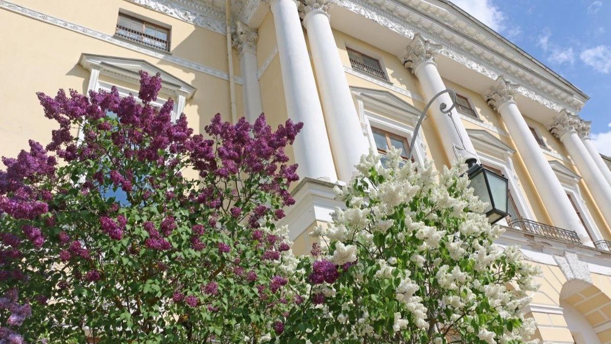 Градозащитная неделя: открытые мероприятия с 16 по 22 июня