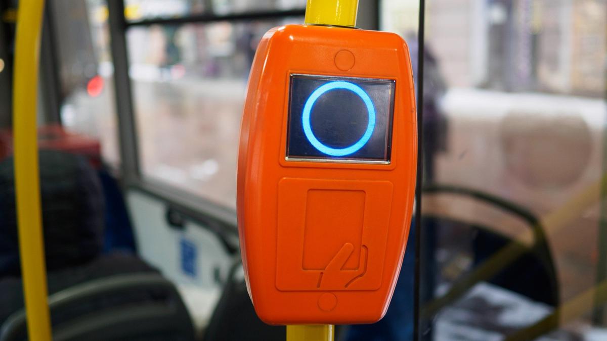 Фото: Дмитрий Абрамов / MR7