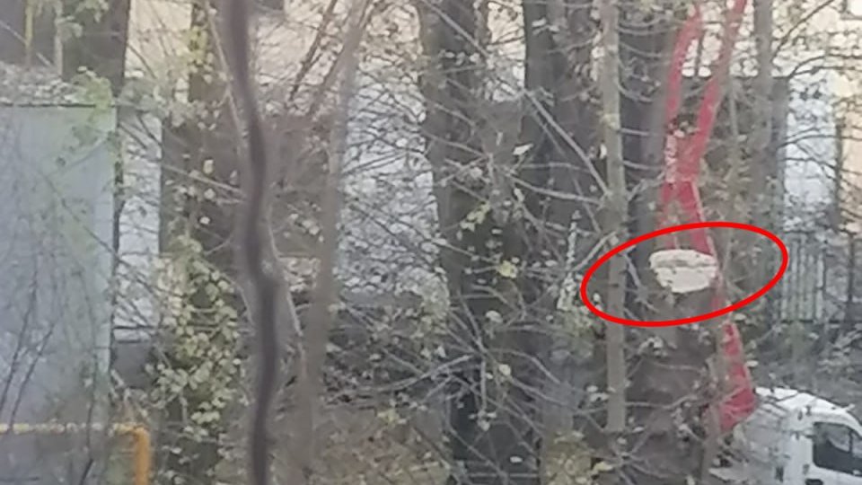 Фото: читатель MR7