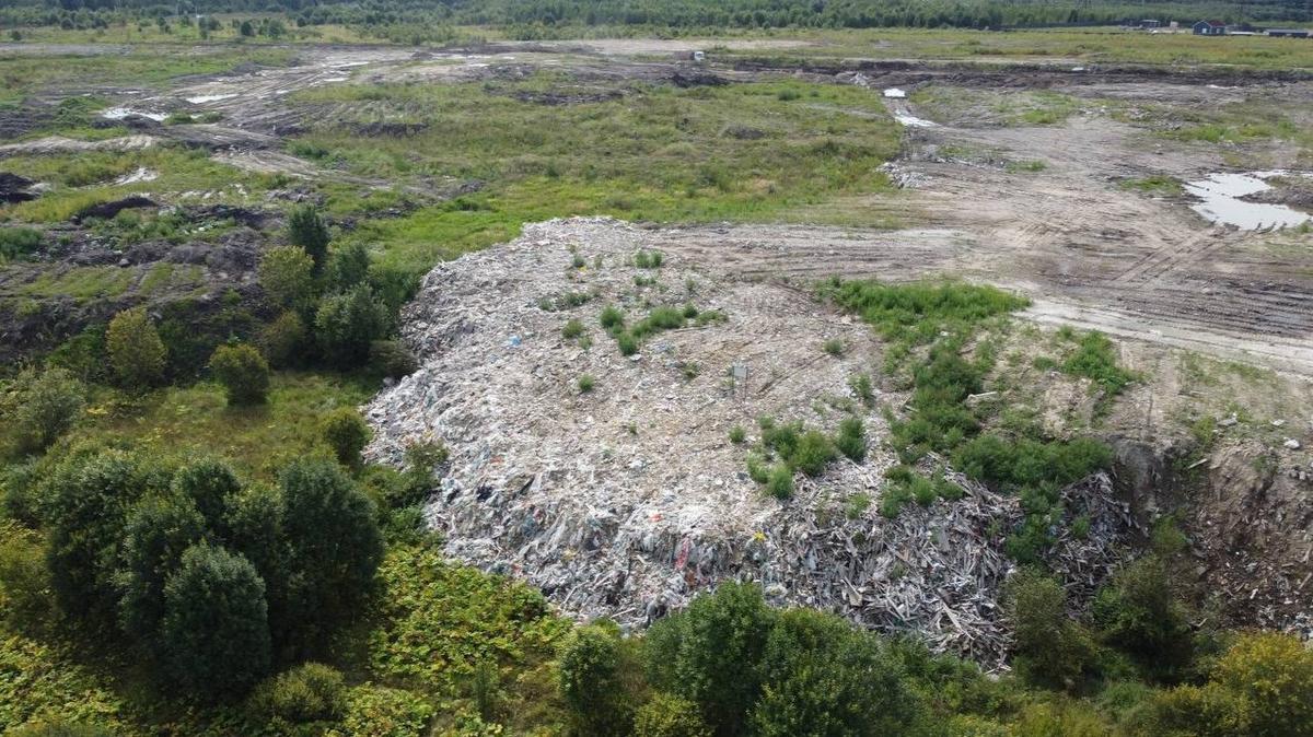 Фото: Эконадзор Ленобласти
