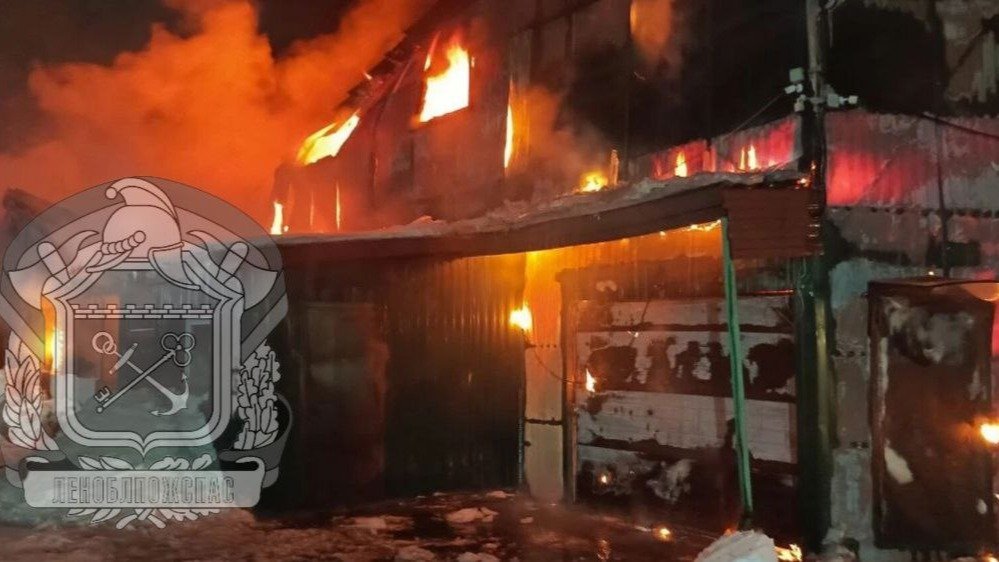 Фото: Леноблпожспас