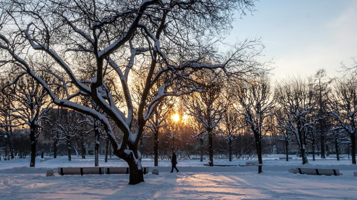 Фото: Олег Золото / MR7