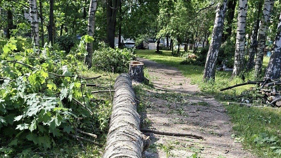 Фото: «Живой город»