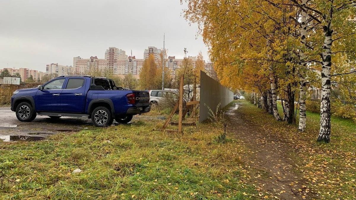 СК проверит ситуацию с вырубкой деревьев в саду Ивана Фомина в Петербурге —  Новости Санкт-Петербурга › МР7.ру