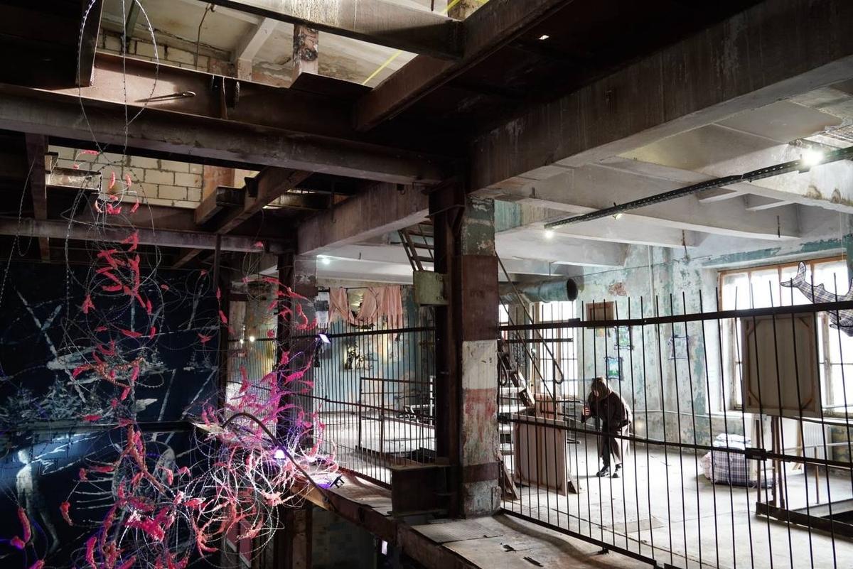 Фото: Павел Борисенко / MR7