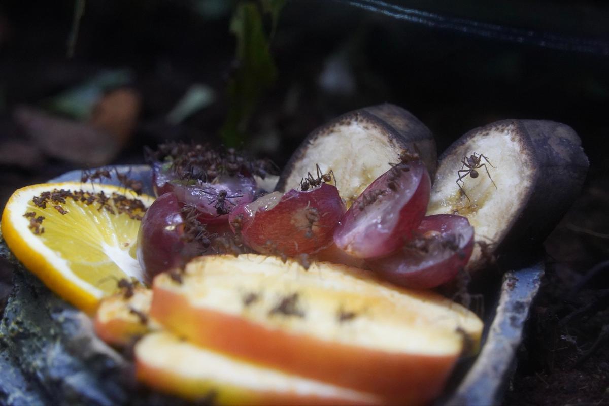 Фото: Павел Борисенко / MР7