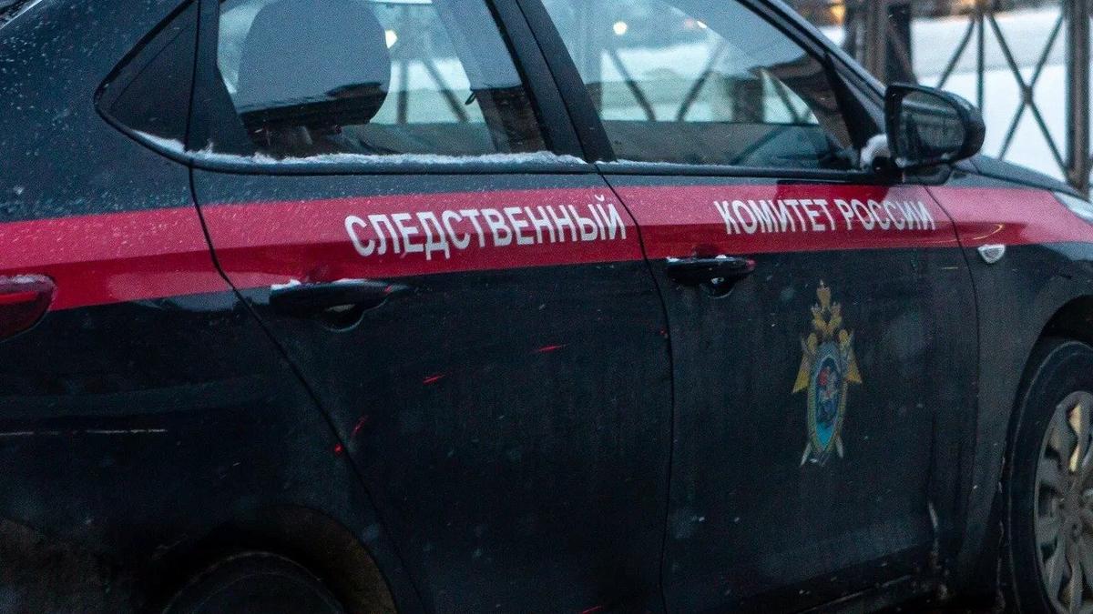 Обвиняемому в мошенничестве экс-гендиректору ЖКС Петроградского района добавили новую статью