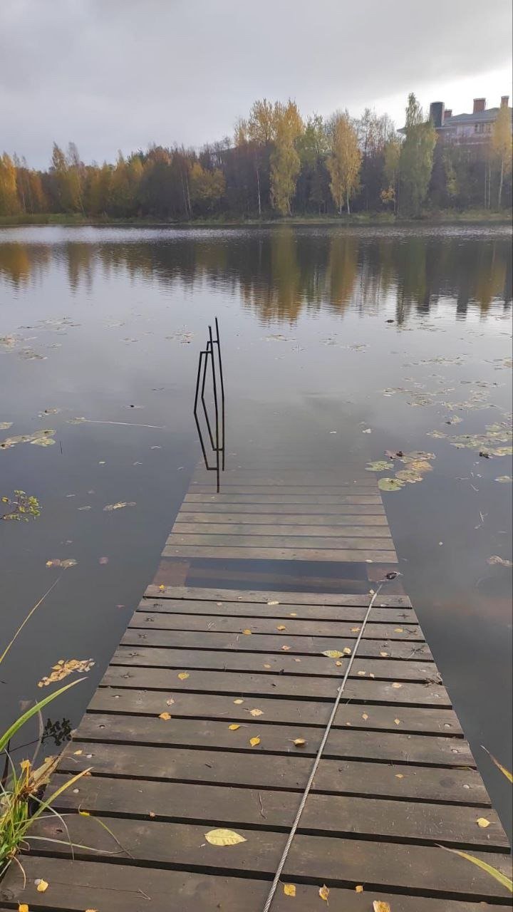 Фото: прокуратура Ленобласти