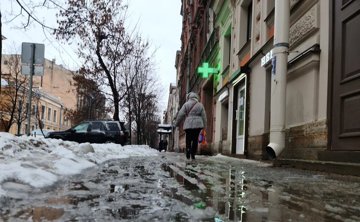 Оттепель в Петербурге не менее страшное явление, чем снегопад. Фото: Олег Золото / MR7