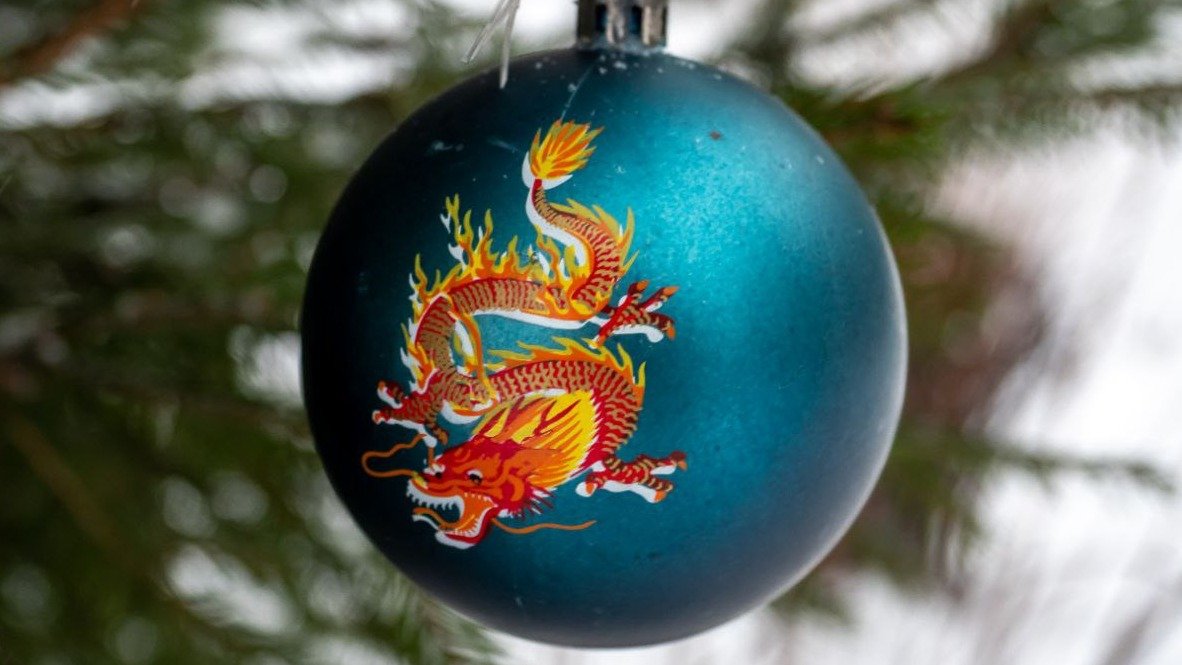 В Петербурге пройдёт экоакция «Новогодний шеринг»