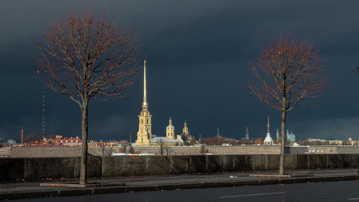 Фото: Олег Золото / МР7