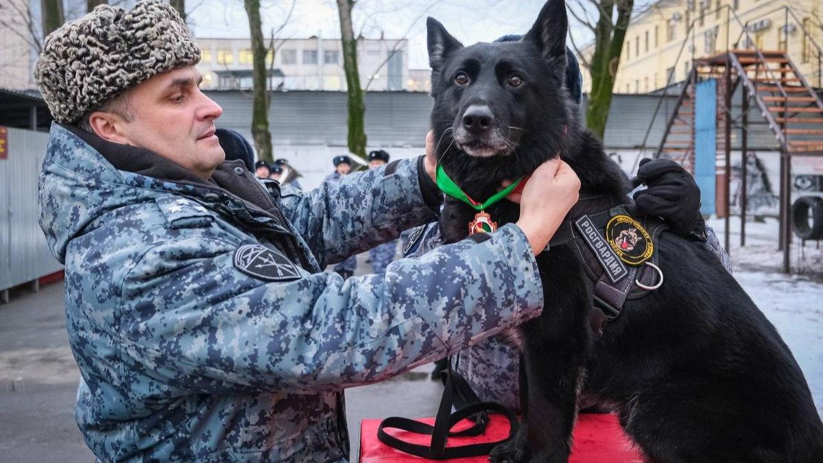 Фото: Росгвардия Северо-Западного округа