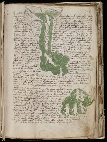 454px-Voynich_Manuscript_(135)
