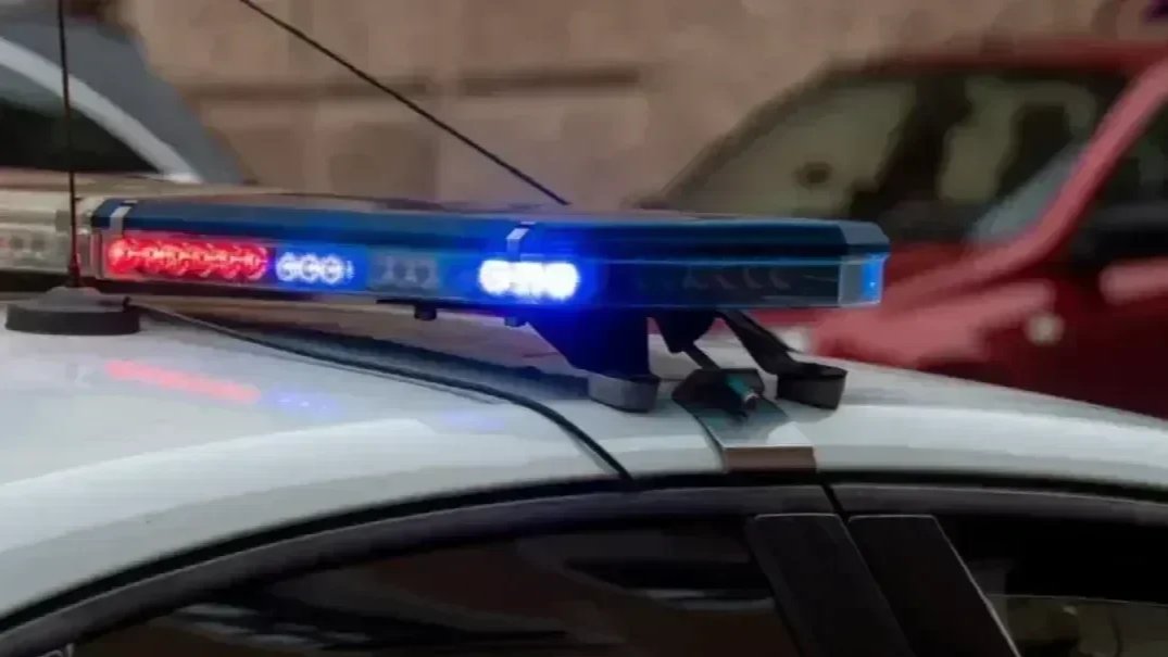 Полиция задержала подростков, которые нападали на мигрантов-дворников в Петербурге