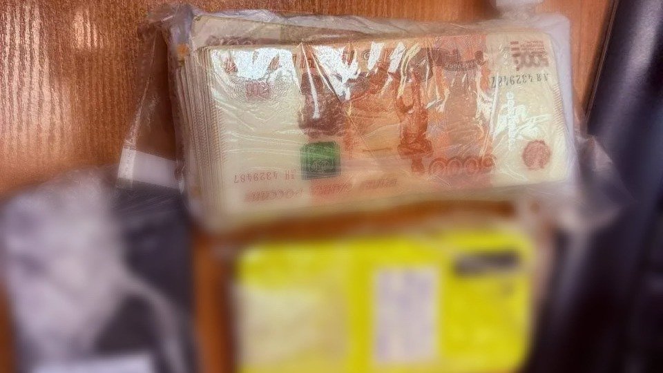 Фото: ГУ МВД по Петербургу и Ленобласти