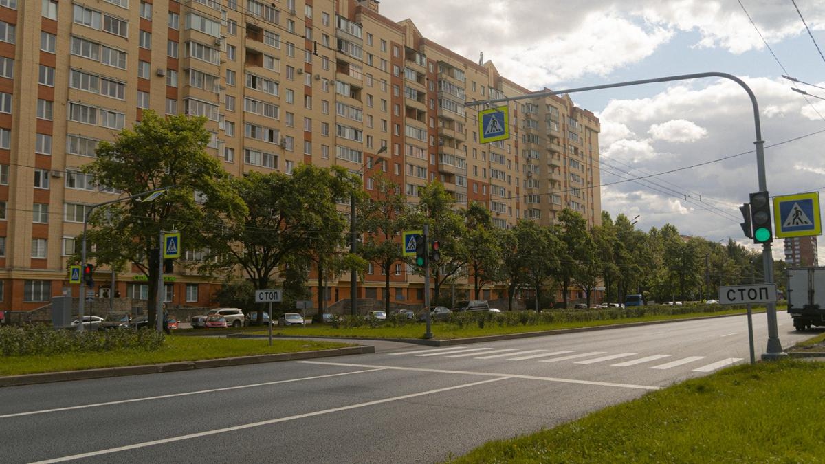 Фото: Смольный