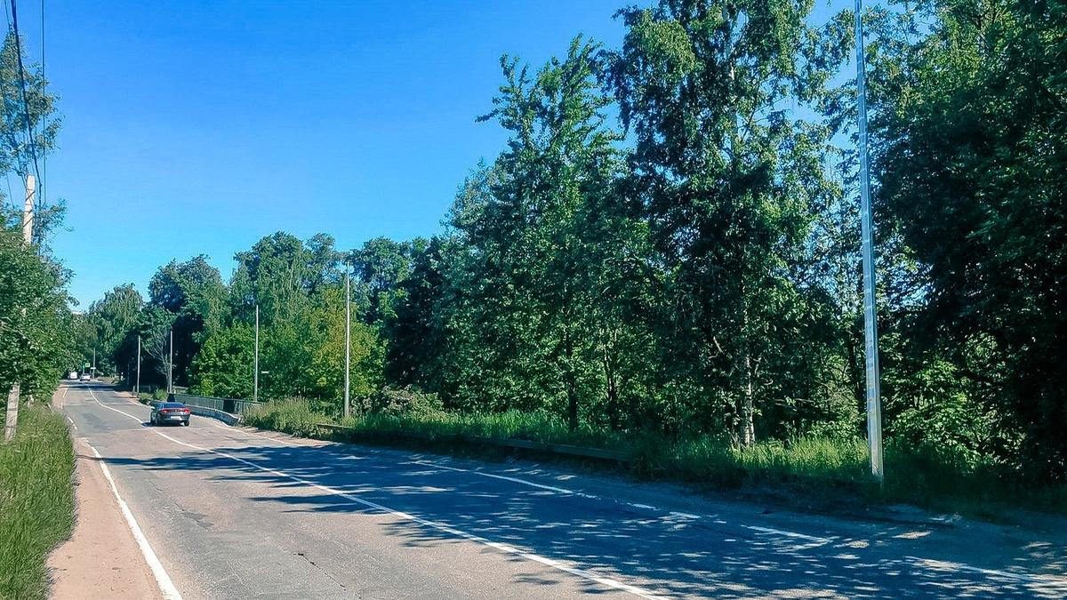 Фото: пресс-служба Смольного