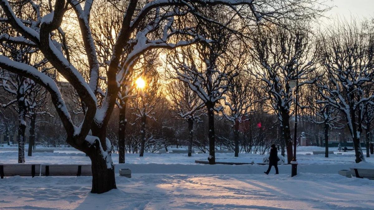 Фото: Олег Золото / MR7