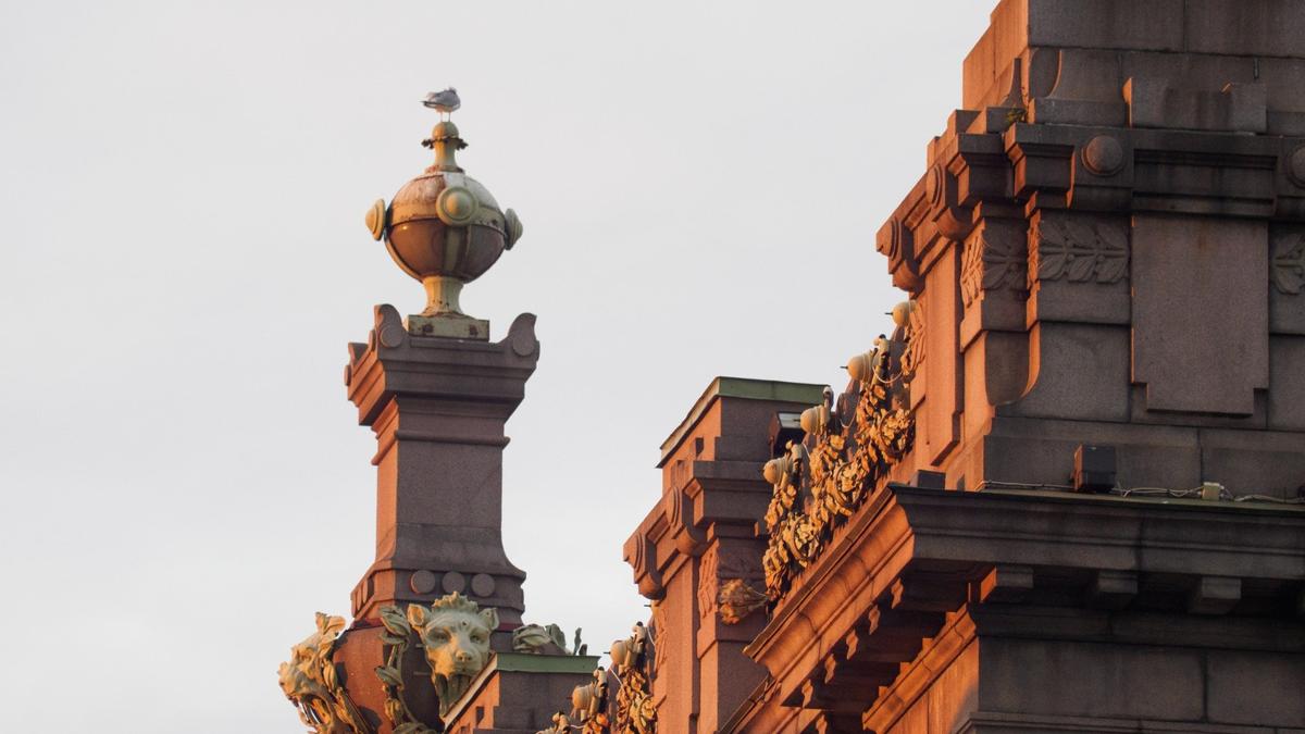 Фото: Дмитрий Абрамов / МР7