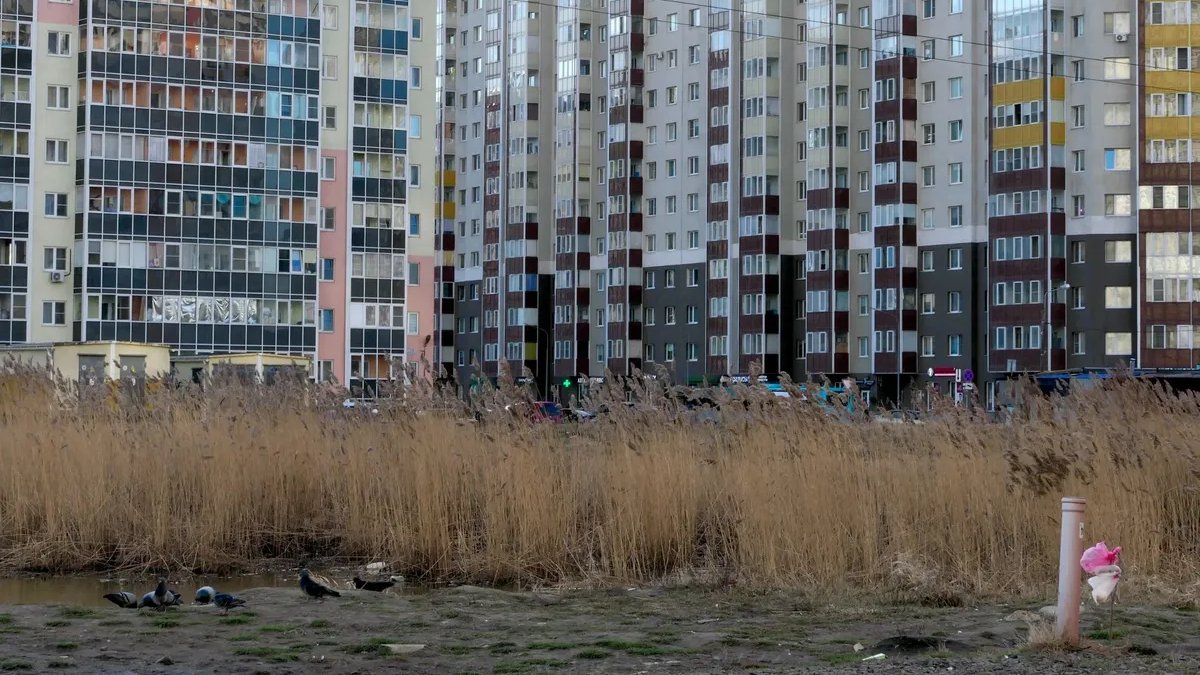 Фото: Павел Даиси / MR7